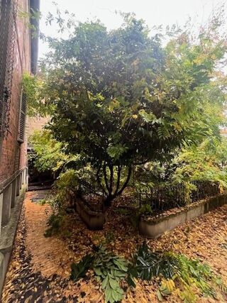  Immeuble � vendre 15 + pi�ces 350 m�