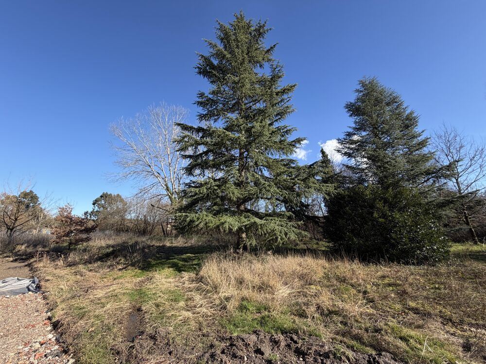 Vente Terrain Terrain constructible Lamagistère