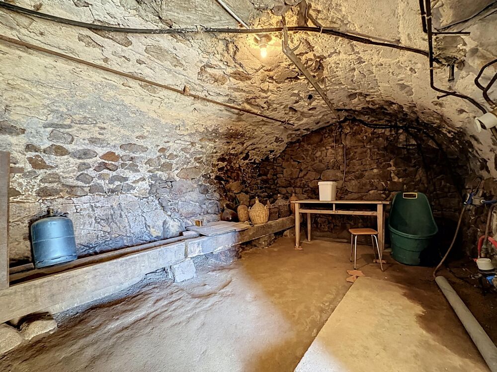 à vendre  Maison Roisey (42520)