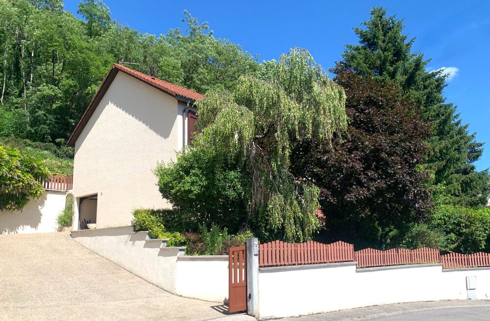 Vente Maison Maison 7 pièces Culoz-béon