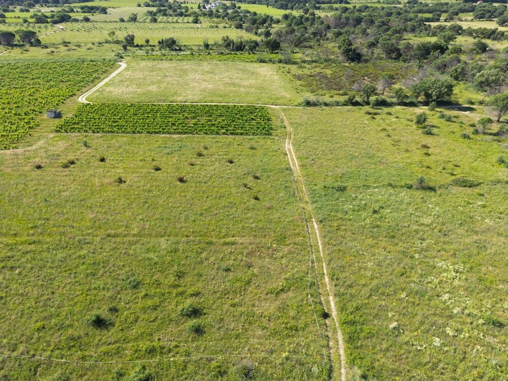 Vente Terrain Terrain agricole Saint-andré
