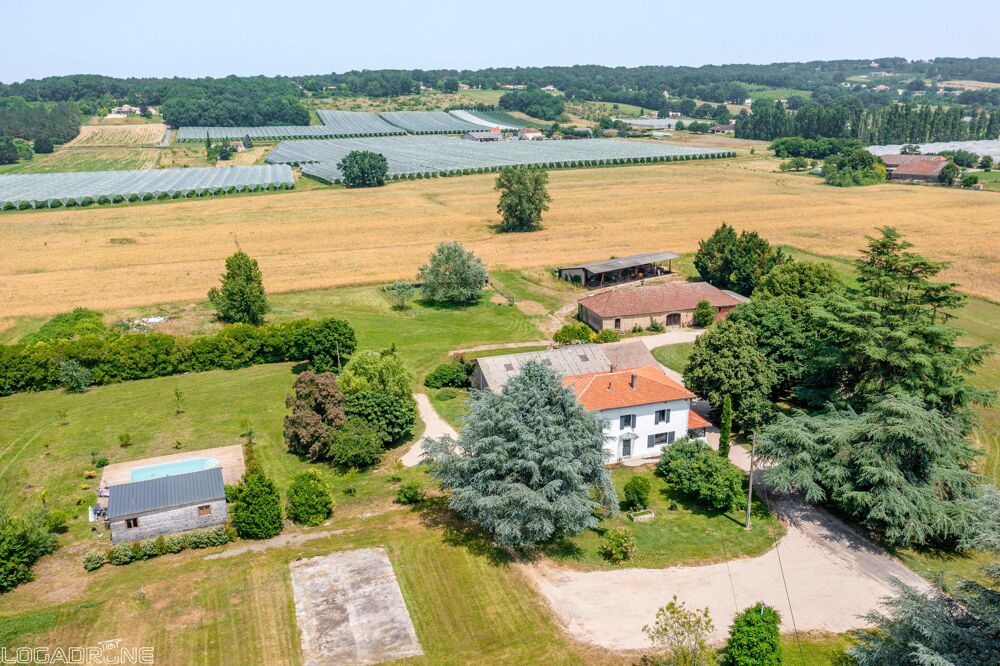 Maison