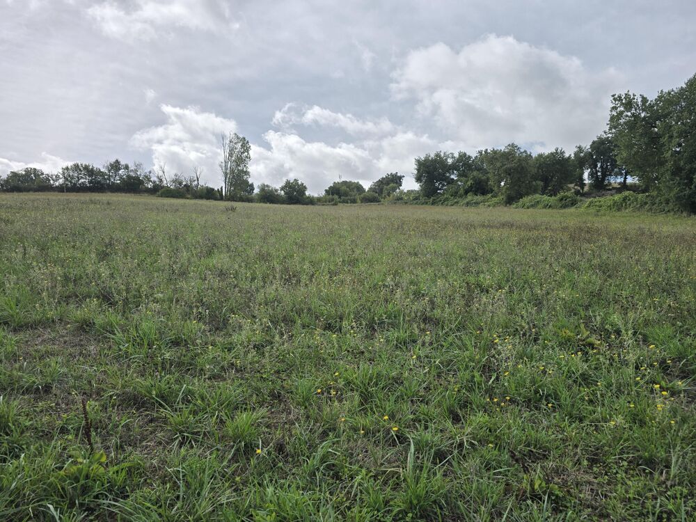 Vente Terrain Terrain de loisirs Brousse