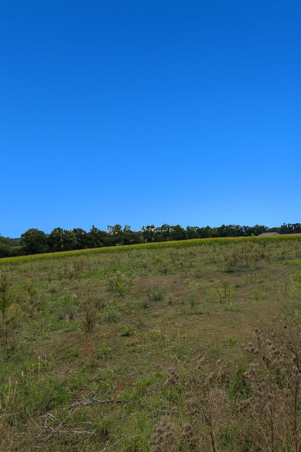 Vente Terrain Terrain Savigneux