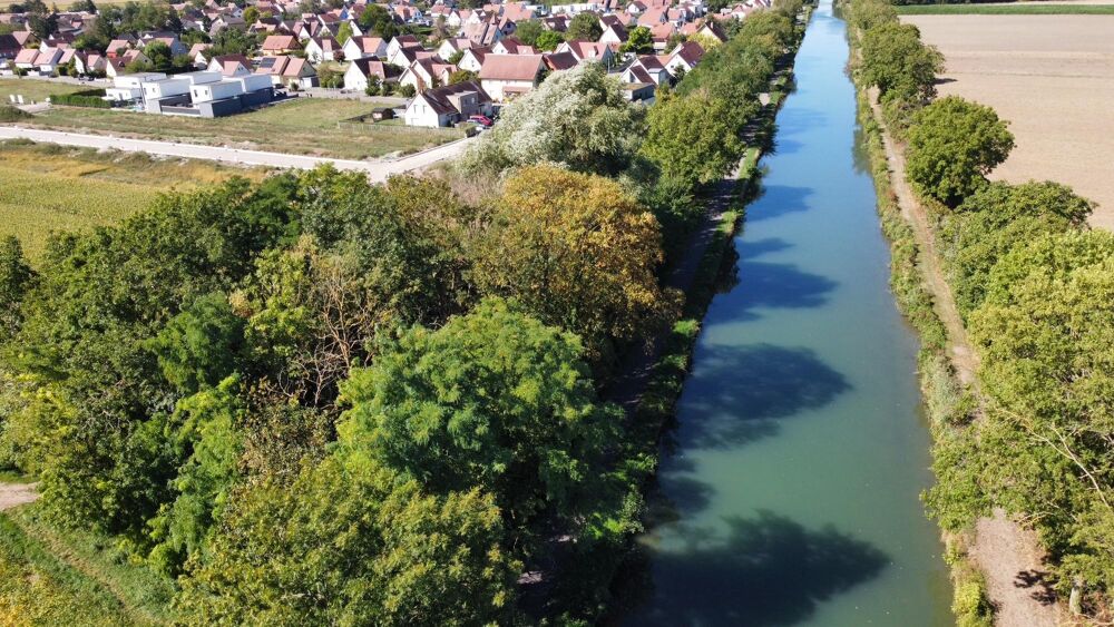 Vente Terrain Terrain constructible Muntzenheim