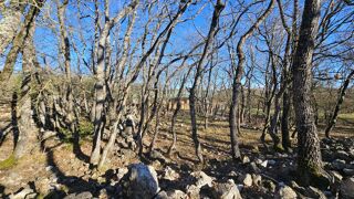  Terrain � vendre 24790 m�