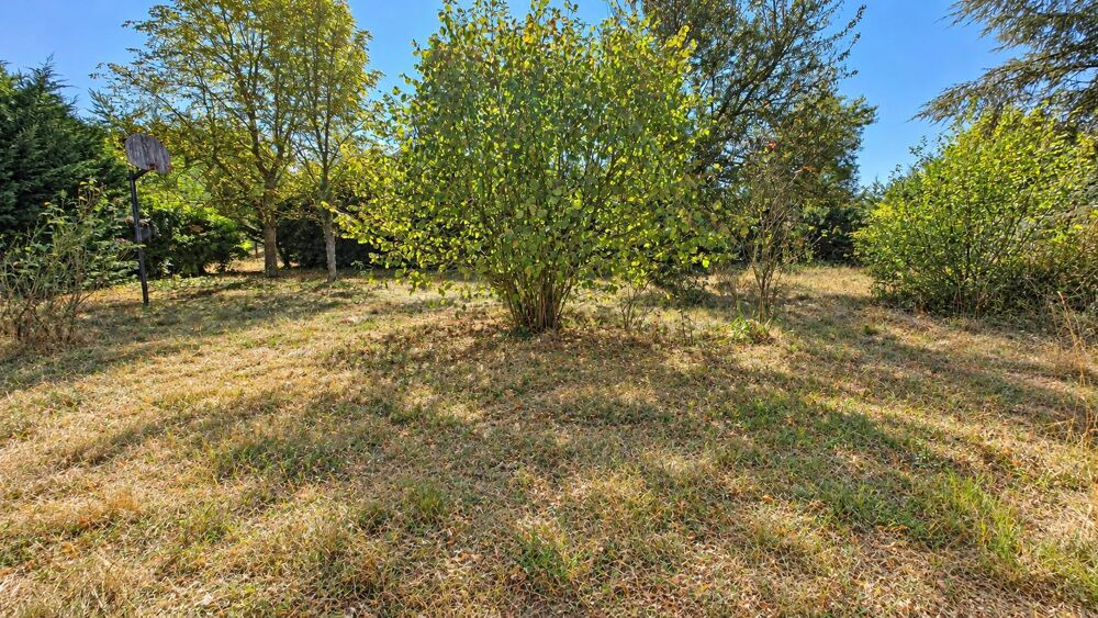 Vente Terrain Terrain constructible Saint-georges-de-reneins