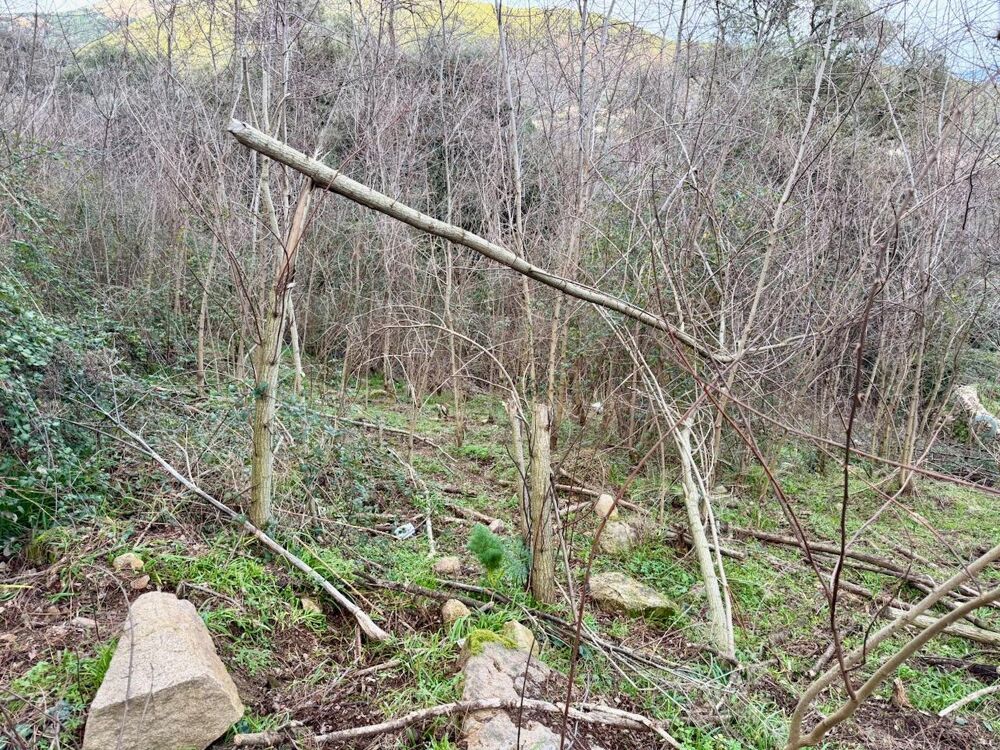 Vente Terrain Terrain constructible Coggia