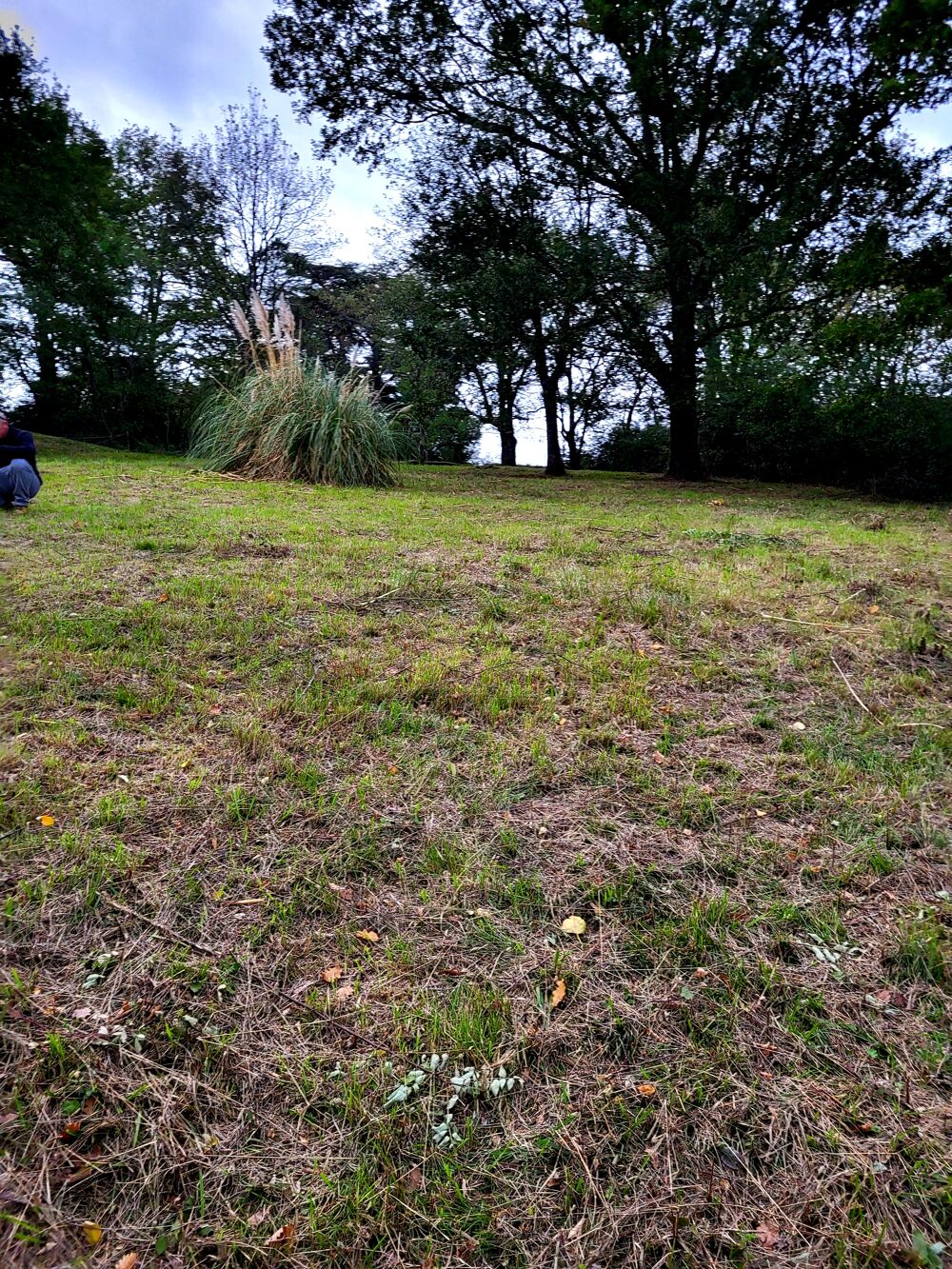 Vente Terrain Terrain constructible Burlats