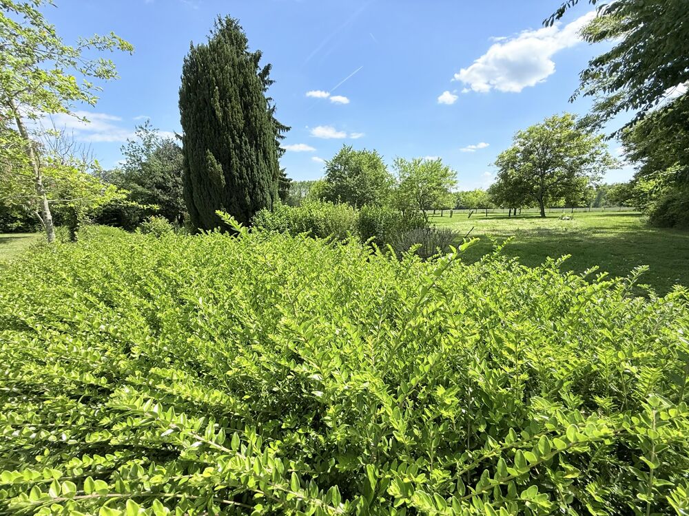  vendre  Maison Jutigny (77650)