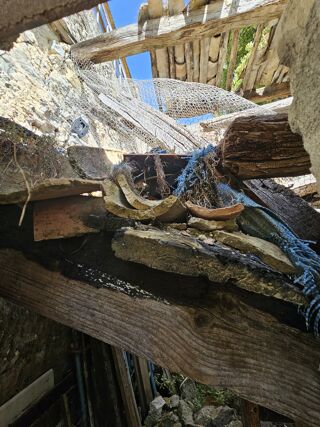  Terrain � vendre 76779 m�