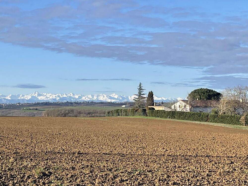  vendre  Maison Vieillevigne (31290)