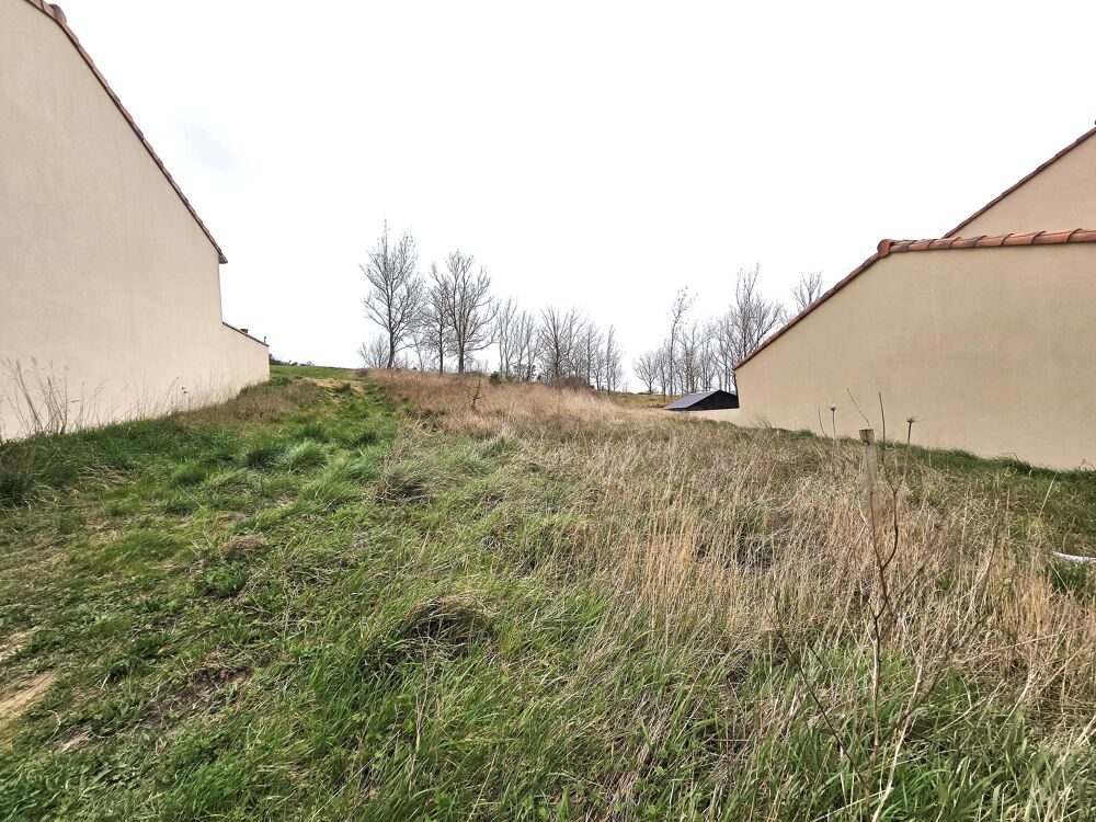 Vente Terrain Terrain constructible Avignonet-lauragais