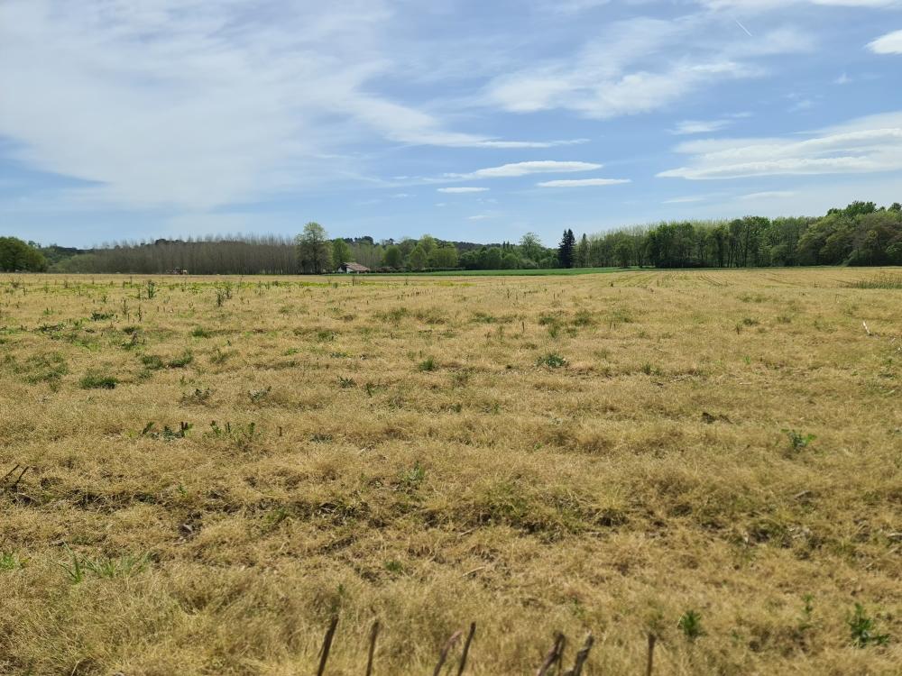 Vente Terrain Terrain constructible Sainte-marie-de-gosse
