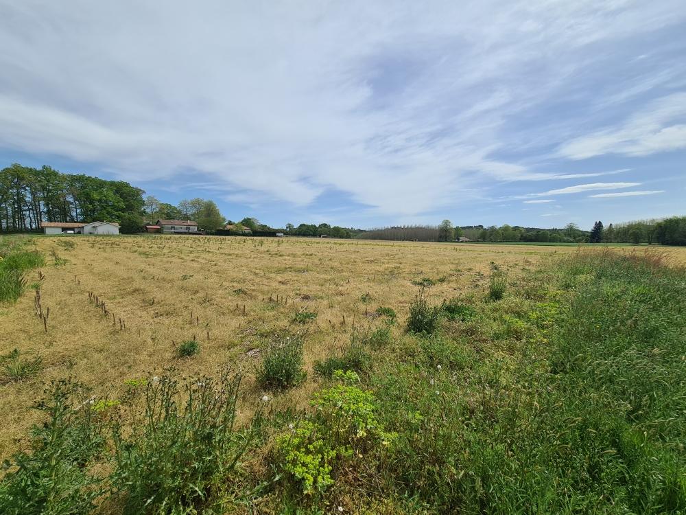 Vente Terrain Terrain constructible Sainte-marie-de-gosse