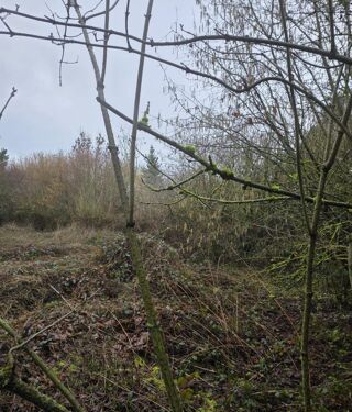  Maison � vendre 3 pi�ces 66 m�