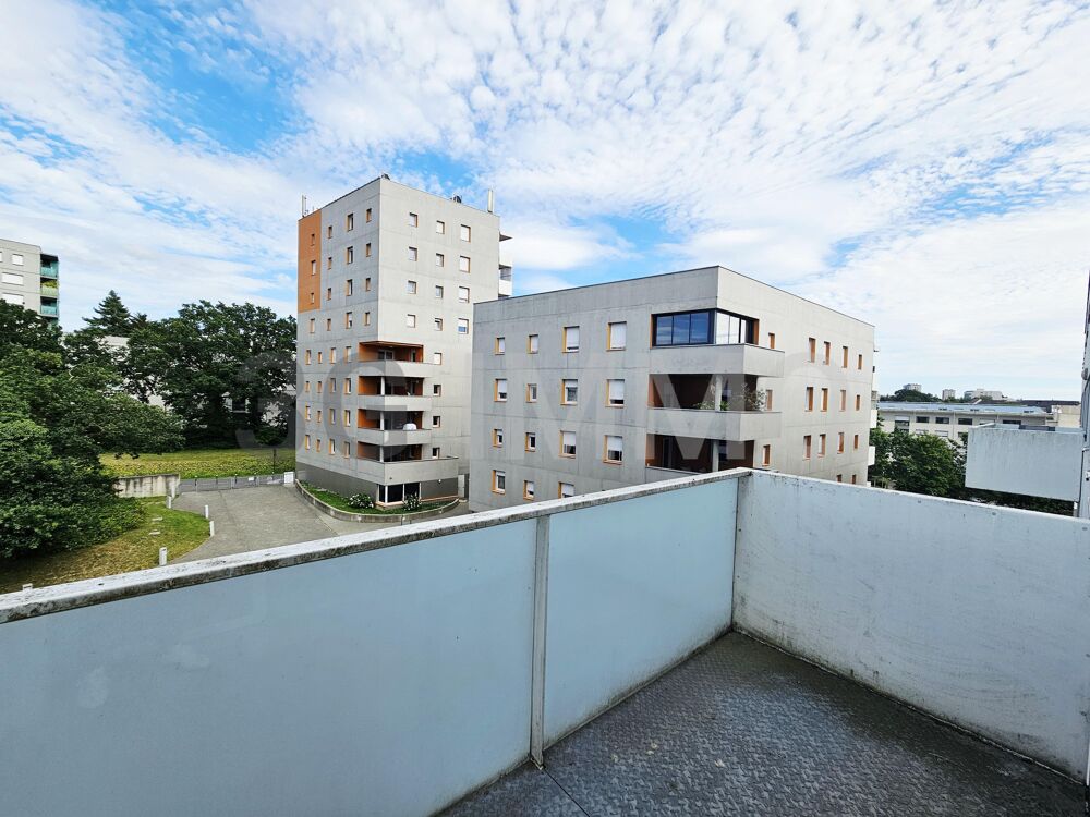 Appartement 1 pièce
