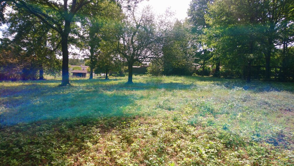 Vente Terrain Terrain constructible Roaillan