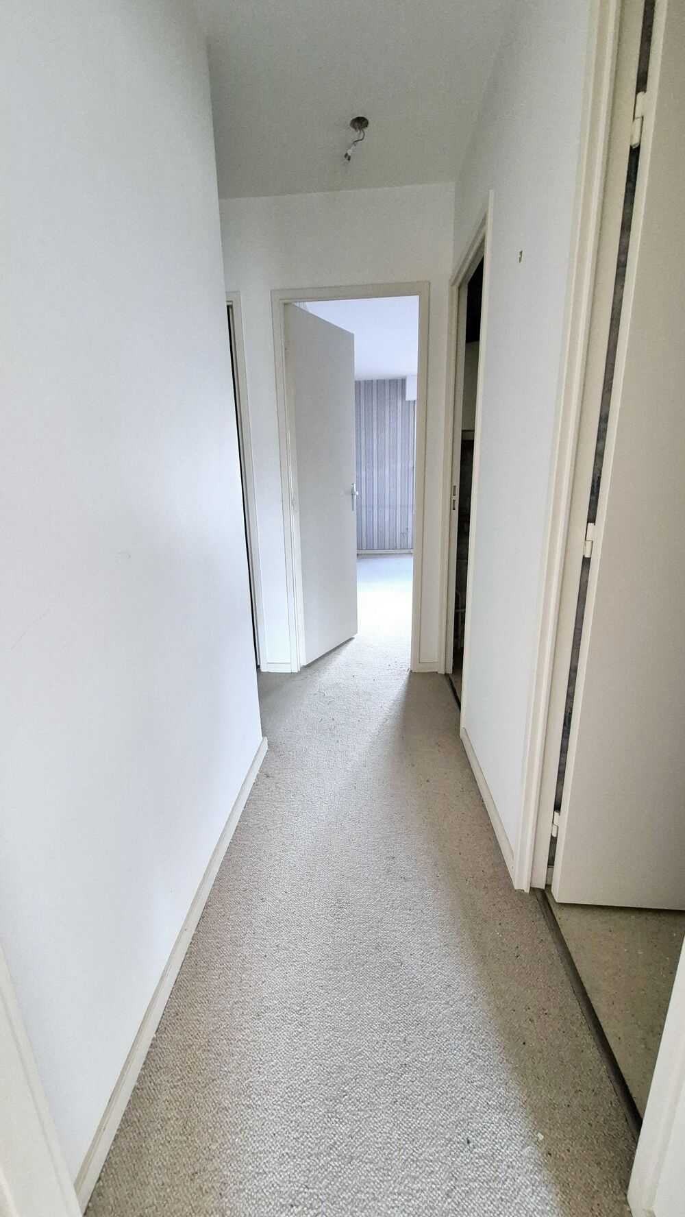 Appartement 3 pièces