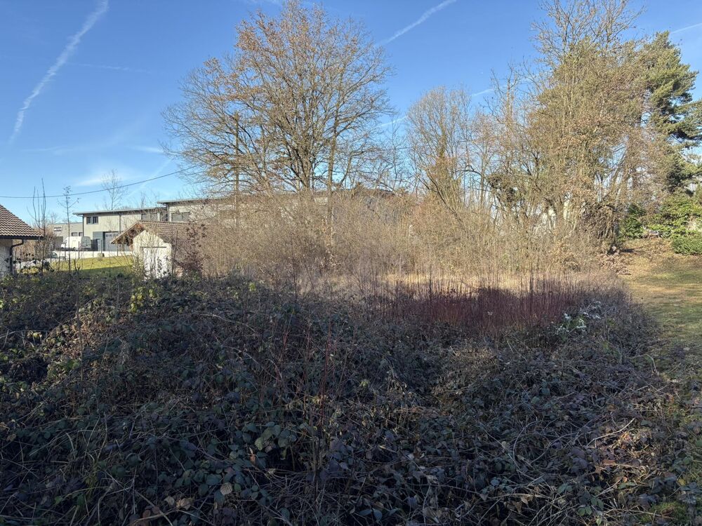 Vente Terrain Terrain constructible Allinges