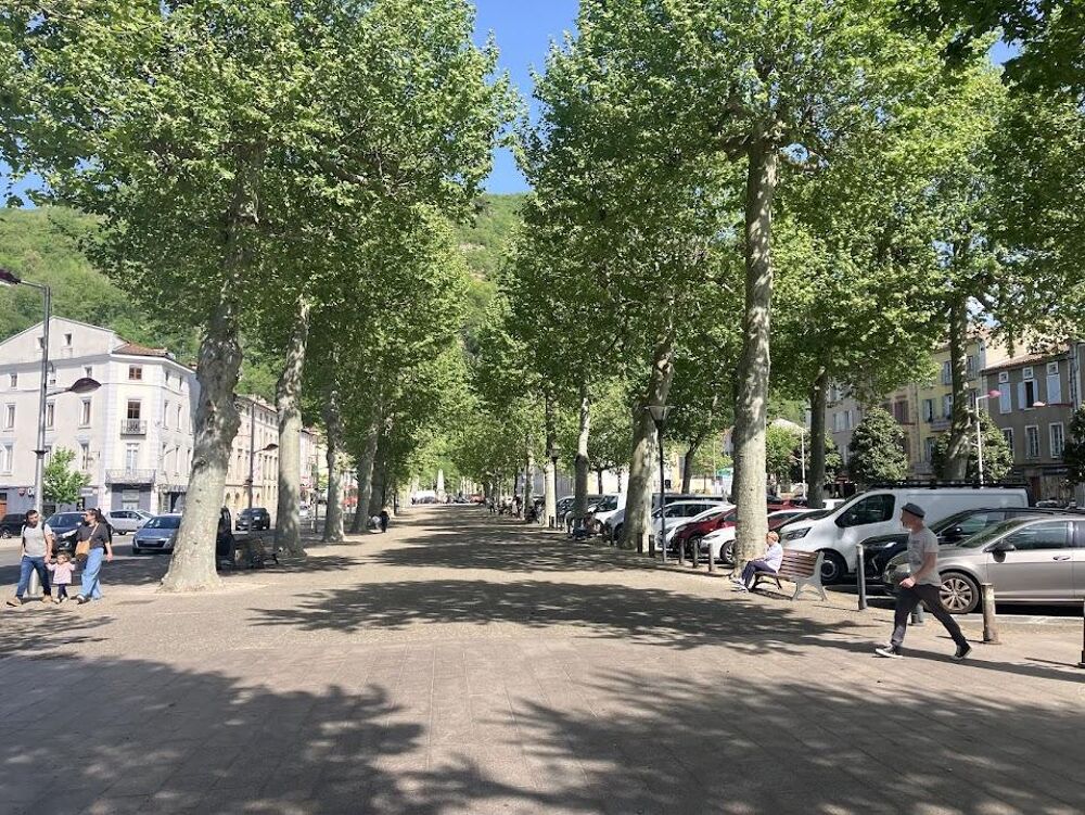 Vente Immeuble Immeuble Foix