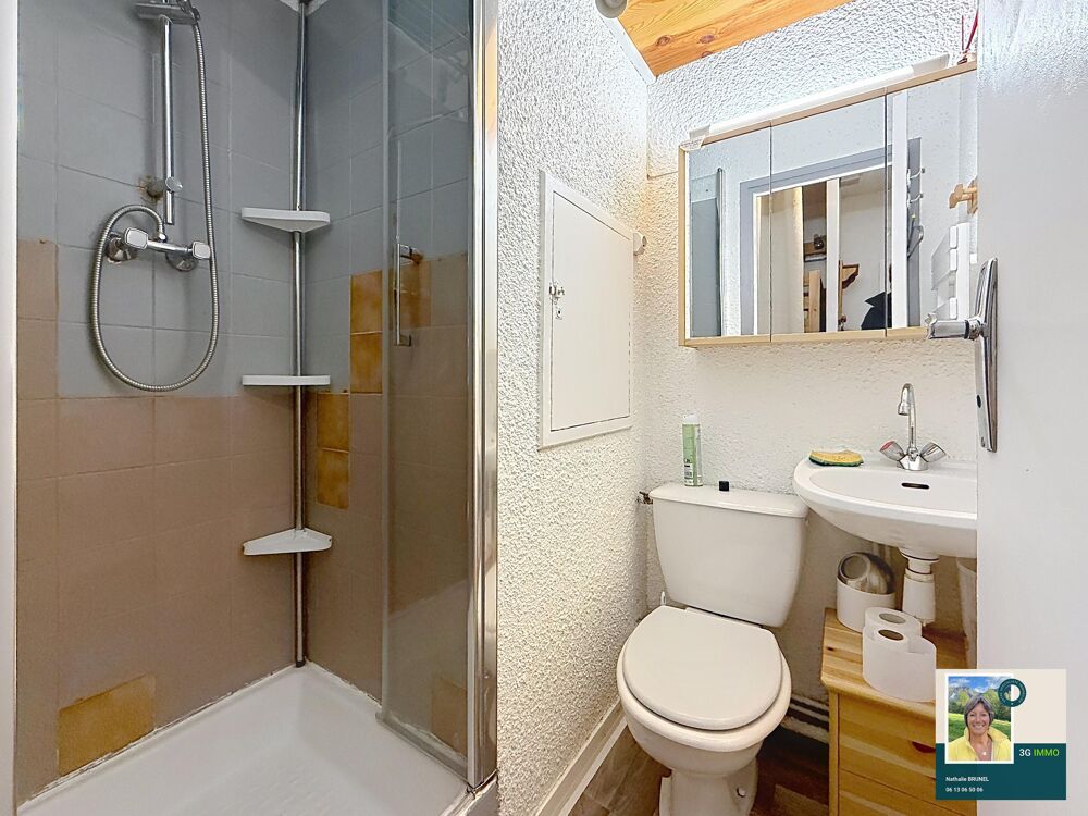 Vente Appartement Studio meublé 1 pièce Mieussy