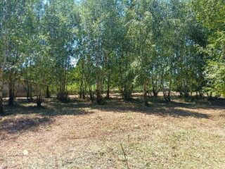  Terrain � vendre 2275 m�