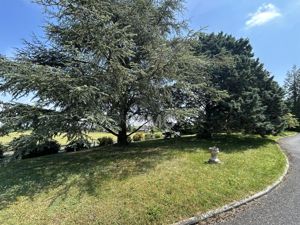 � vendre  Maison Savonni�res (37510)