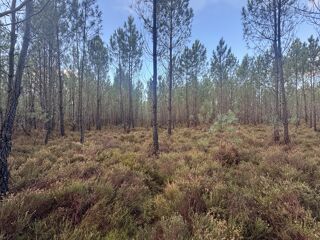  Terrain � vendre 40400 m�