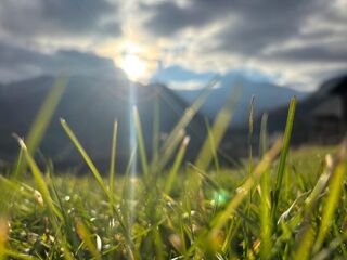  Terrain  vendre 596 m