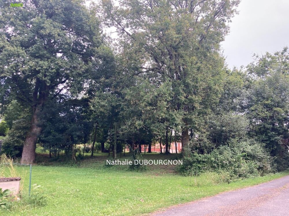 Vente Terrain Terrain constructible Bâgé-dommartin