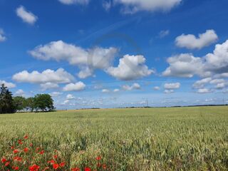 Terrain  vendre 1500 m
