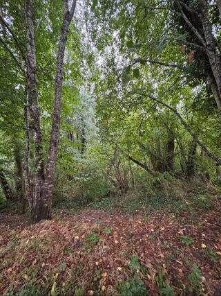  Terrain � vendre 159203 m�