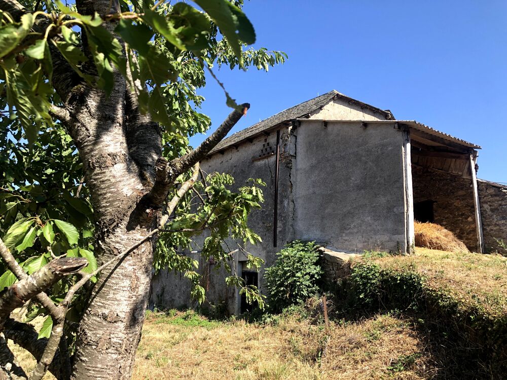 Vente Maison Corps de ferme 6 pièces Tanus
