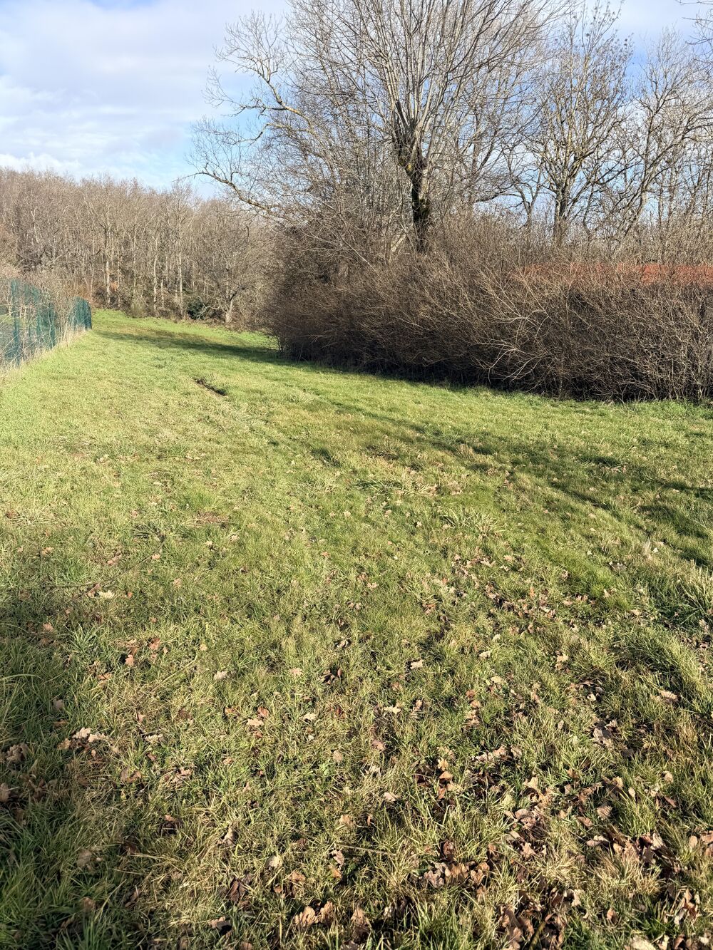 Vente Terrain - Vue 2