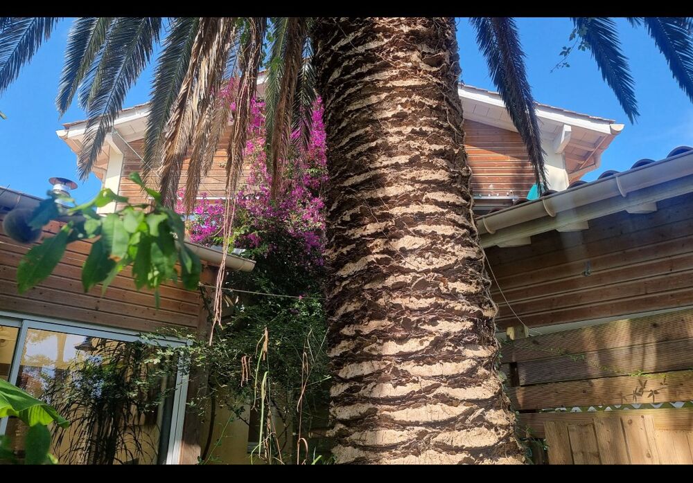 � vendre  Appartement Anglet (64600)