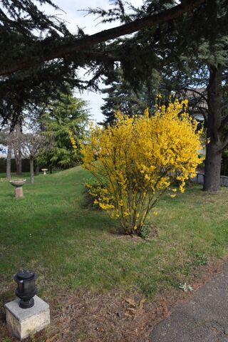  Terrain � vendre 587 m�