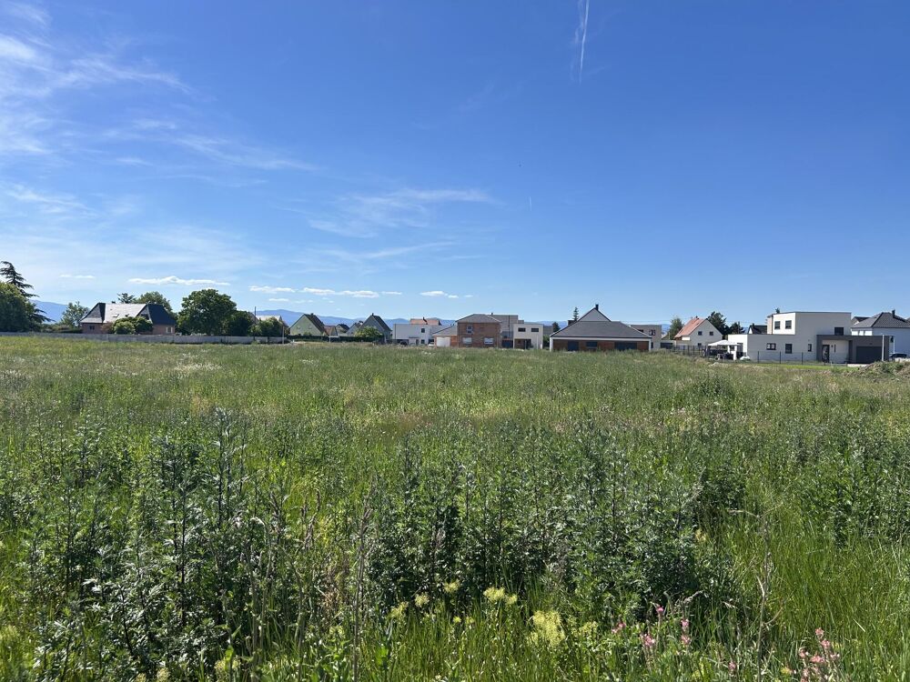 Vente Terrain Terrain constructible Dessenheim