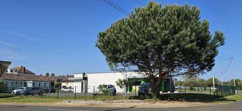 Vente murs pro  &agrave; Gabarret 291000 40310 Gabarret