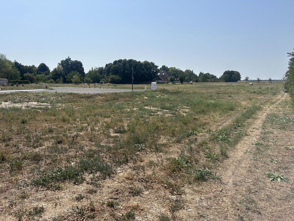 Vente Terrain Terrain constructible Marckolsheim