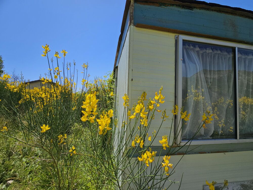 Vente Terrain Terrain de loisirs Toudon