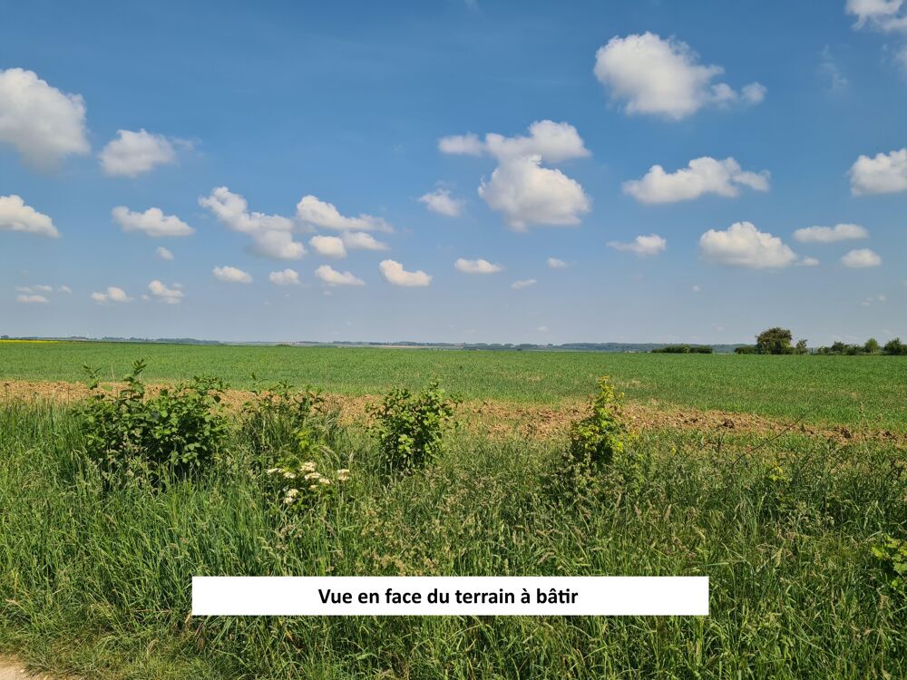 Vente Terrain Terrain constructible Haute-avesnes