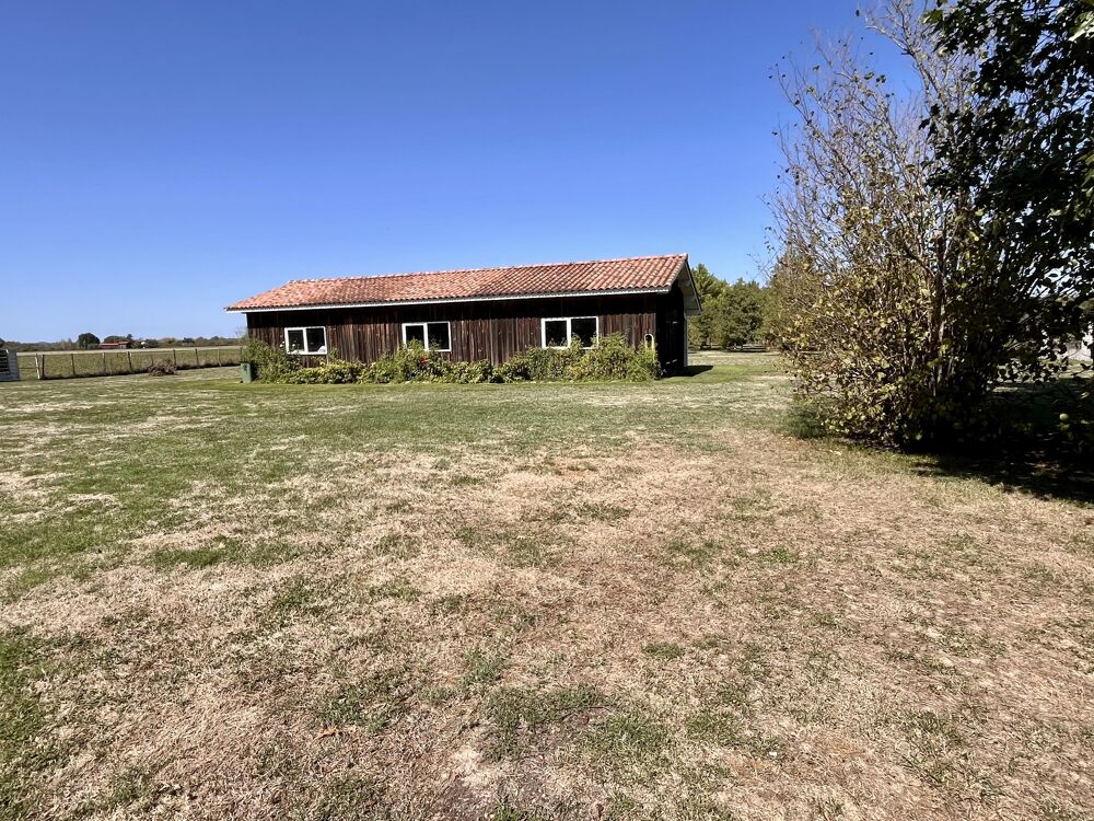 à vendre  Maison Langon (33210)