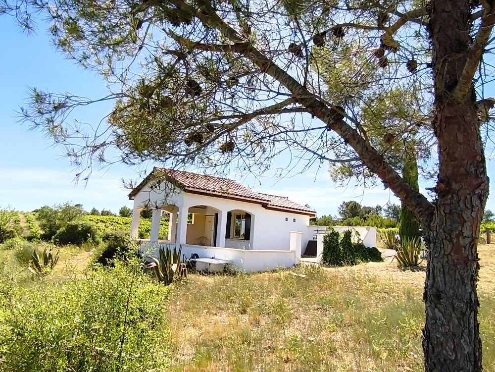 Vente Maison Mazet Villespassans