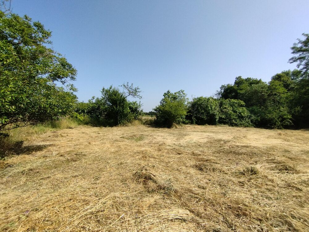 Vente Terrain Terrain Castelnau-montratier