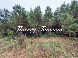  Terrain  vendre 159203 m