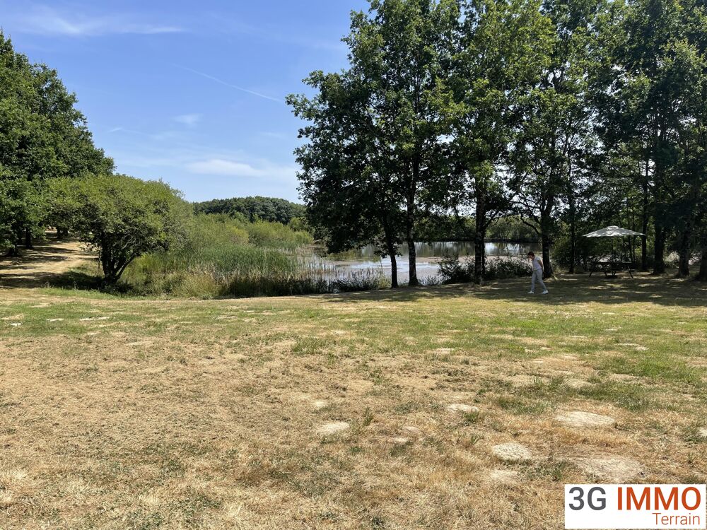 Vente Terrain Terrain Les pineaux