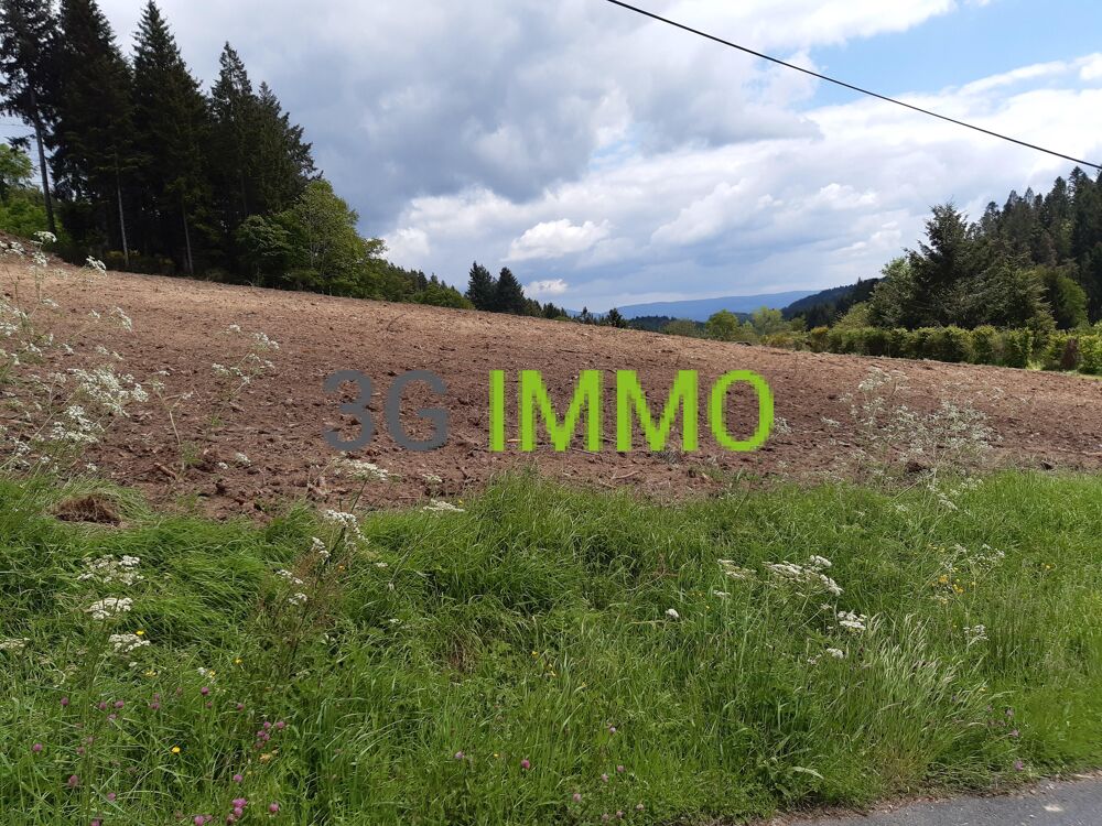 Vente Terrain Terrain Le monestier