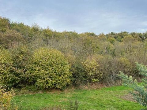   Maison 6 pi�ces Maison - 6 pi�ce(s) - 138 m�