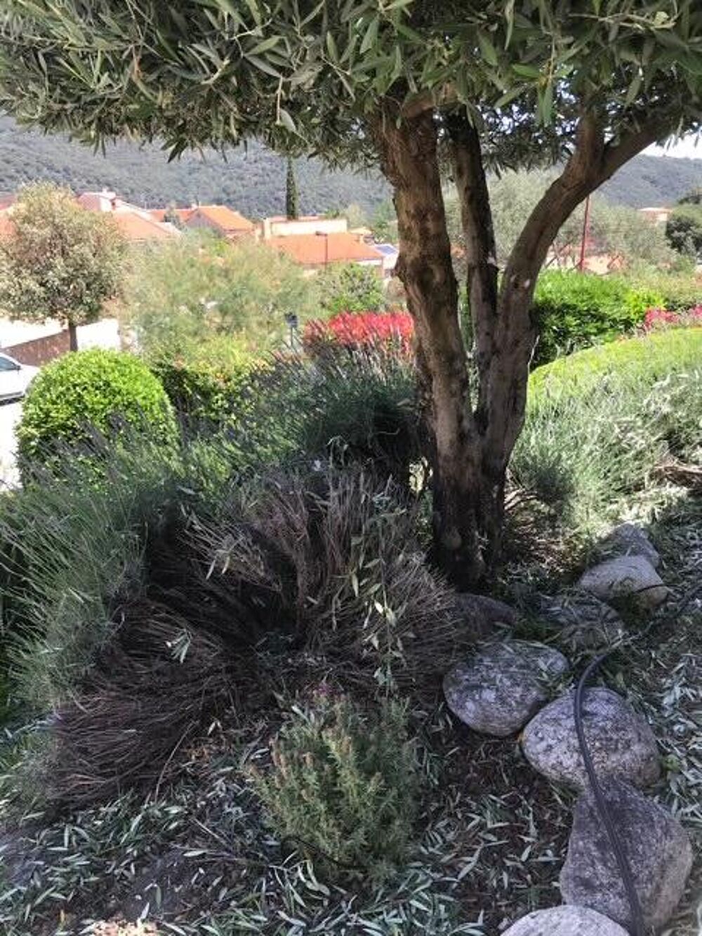 Vente Maison Maison 4 pi�ces Am�lie-les-bains-palalda